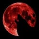 BloodWolfe
